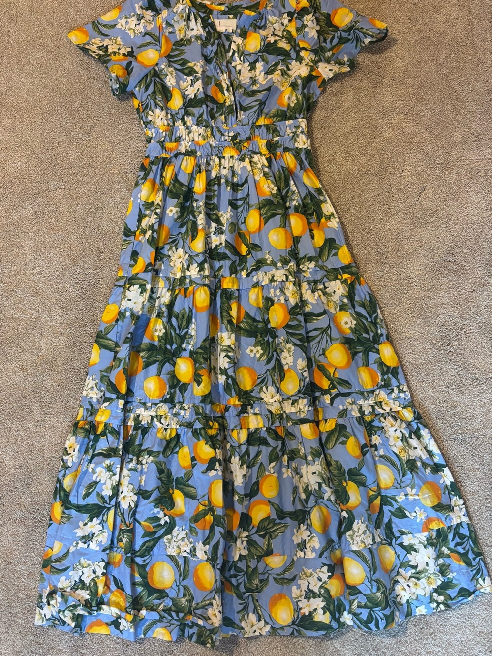 Anthropologie Somerset Blue Lemon Floral Tiered Maxi Dress